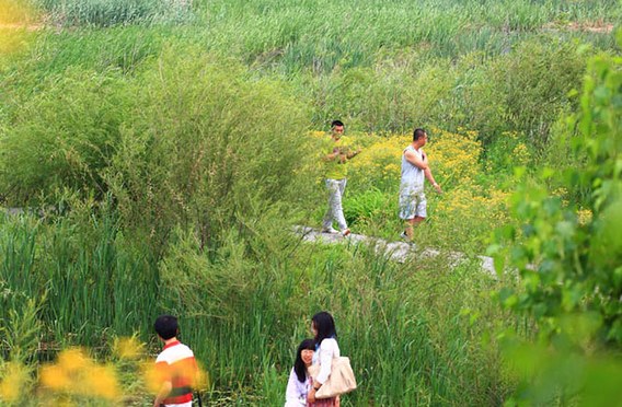 Zumtobel Group award nominees in focus:  Qunli Stormwater Park