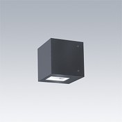 Axyl Gild — AXYL GILD M 2W 1L 927 WWB RD ANT